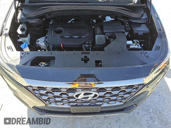 2019 Hyundai Santa Fe SE with VIN 5NMS23AD1KH113593, listed as a Copart auction lot 51838625 with 110,516 mi miles and Clean Title. Bid and sale history available at carsss.com. Image 8.