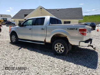 2013 Ford F-150 XL with VIN 1FTFW1EF5DFC77791, listed as a Copart auction lot 56161675 with 115,820 mi miles and Salvage Title. Bid and sale history available at DreamBid. Image 2.