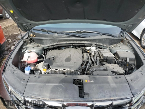 2022 Hyundai Tucson SEL with VIN 5NMJCCAE8NH141249, listed as a Copart auction lot 50431975 with 19,391 mi miles and Salvage Title. Bid and sale history available at DreamBid. Image 12.