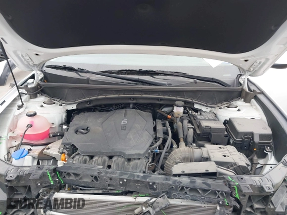 2024 Hyundai Tucson SE with VIN 5NMJA3DE7RH320552, listed as a IAAI auction lot 41381385 with 17,077 mi miles and . Bid and sale history available at DreamBid. Image 10.