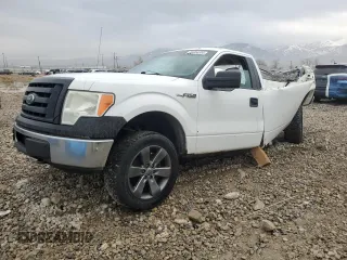 2010 Ford F-150 XL with VIN 1FTMF1EW4AKE00975, listed as a Copart auction lot 86004554 with 290,849 mi miles and Non Repairable. Bid and sale history available at DreamBid. Image 1.