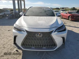 2025 Lexus NX 350h Luxury with VIN 2T2HKCEZ4SC038891, listed as a Copart auction lot 82850384 with 407 mi miles and Salvage title. Bid and sale history available at DreamBid. Image 5.