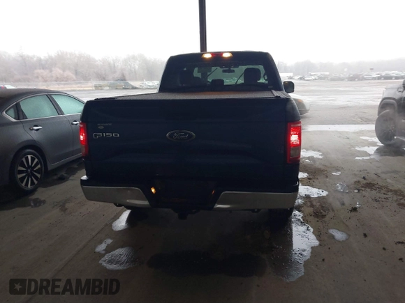 2017 Ford F-150 XL with VIN 1FTEX1E8XHFC86258, listed as a IAAI auction lot 41507147 with 225,029 mi miles. Bid and sale history available at carsss.com. Image 16.