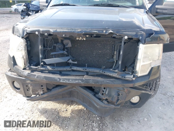 2009 Ford F-150 STX z VIN 1FTRX12W19FA20343, wystawiony jako IAAI lot #42573048 z przebiegiem 245 960 mil mil oraz . Historia ofert i sprzedaży dostępna na DreamBid. Obrazek 6.