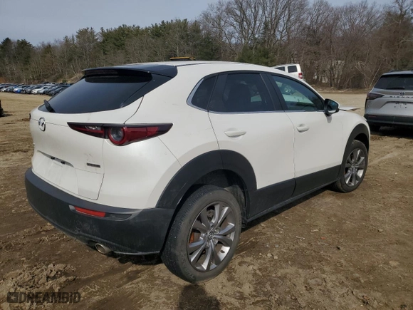 2021 Mazda CX-30 Select with VIN 3MVDMBBL2MM257378, listed as a Copart auction lot 48243745 with 22,064 mi miles and Non Repairable. Bid and sale history available at carsss.com. Image 3.