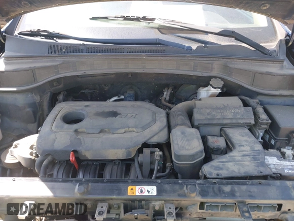 2017 Hyundai Santa Fe 2.4L with VIN 5XYZT3LB0HG495044, listed as a IAAI auction lot 42285311 with 163,313 mi miles and . Bid and sale history available at DreamBid. Image 10.