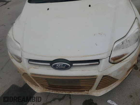 2014 Ford Focus SE with VIN 1FADP3K22EL127373, listed as a Copart auction lot 46043725 with Not Provided miles and Salvage Title. Bid and sale history available at DreamBid. Image 12.