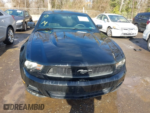 2011 Ford Mustang V6 with VIN 1ZVBP8AM5B5150824, listed as a IAAI auction lot 41539133 with 239,148 mi miles and . Bid and sale history available at carsss.com. Image 12.