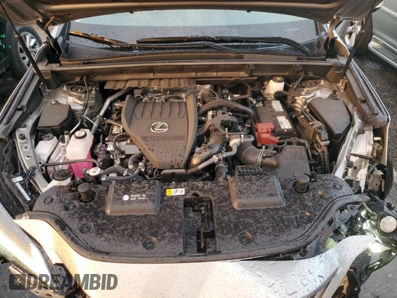 2023 Lexus NX 350 Premium with VIN 2T2GGCEZ4PC025580, listed as a Copart auction lot 81825503 with 5,922 mi miles and . Bid and sale history available at DreamBid. Image 11.