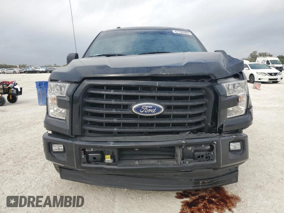 2017 Ford F-150 XL with VIN 1FTEX1CP4HKD67029, listed as a Copart auction lot 47726485 with 171,921 mi miles and Salvage Title. Bid and sale history available at carsss.com. Image 5.