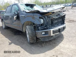 2015 Ford F-150 XLT z VIN 1FTEW1EF3FFB39276, wystawiony jako IAAI lot #42126683 z przebiegiem 162 250 mil mil oraz . Historia ofert i sprzedaży dostępna na DreamBid. Obrazek 6.