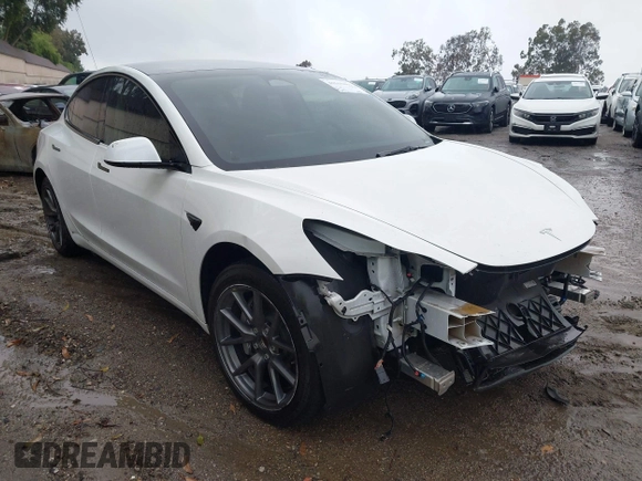 2023 Tesla Model 3 with VIN 5YJ3E1EA3PF401446, listed as a IAAI auction lot 41565881 with Not Provided miles and . Bid and sale history available at carsss.com. Image 1.