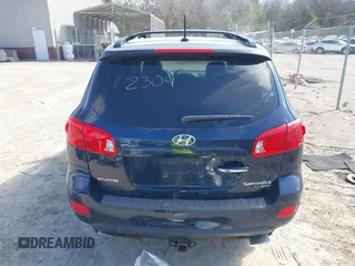 2009 Hyundai Santa Fe SE with VIN 5NMSH73E69H264547, listed as a IAAI auction lot 41812304 with 224,088 mi miles and . Bid and sale history available at DreamBid. Image 16.
