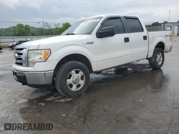 2009 Ford F-150 XL z VIN 1FTPW14V59KC72750, wystawiony jako Copart lot #54487105 z przebiegiem 242 321 mil mil oraz Szkoda całkowita • Salvage title. Historia ofert i sprzedaży dostępna na DreamBid. Obrazek 1.
