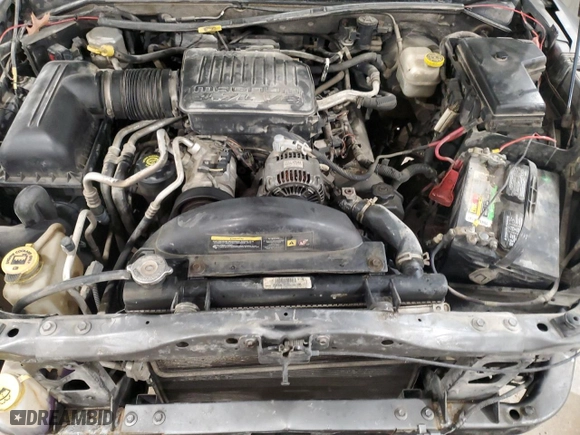 2005 Dodge Dakota SLT with VIN 1D7HW48N45S245846, listed as a Copart auction lot 43064785 with 228,111 mi miles and Salvage Title. Bid and sale history available at carsss.com. Image 11.