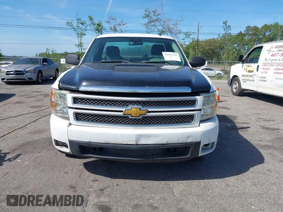 2009 Chevrolet Silverado 1500 Work Truck with VIN 1GCEC14X59Z198447, listed as a IAAI auction lot 41941725 with 250,142 mi miles and . Bid and sale history available at DreamBid. Image 6.