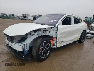 2022 Ford Mustang Mach-E GT with VIN 3FMTK4SE1NMA19843, listed as a Copart auction lot 43254025 with 22,507 mi miles and Salvage Title. Bid and sale history available at DreamBid. Image 1.