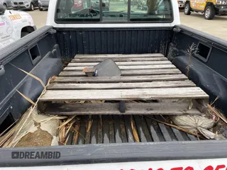 2008 Toyota Tacoma with VIN 5TENX22N38Z590874, listed as a IAAI auction lot 41853807 with 1 mi miles. Bid and sale history available at carsss.com. Image 8.