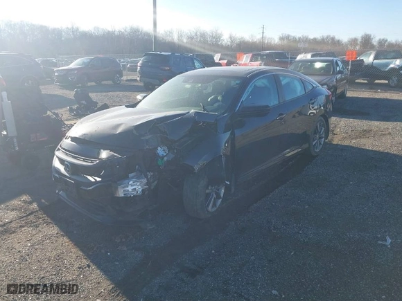2019 Honda Civic Sedan EX-L with VIN 19XFC1F73KE211652, listed as a IAAI auction lot 41816810 with 74,353 mi miles. Bid and sale history available at carsss.com. Image 2.