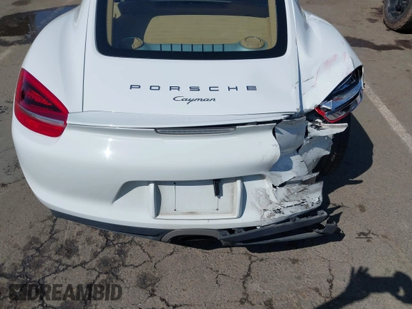 2015 Porsche Cayman with VIN WP0AA2A86FK163282, listed as a IAAI auction lot 42001118 with 101,495 mi miles and . Bid and sale history available at DreamBid. Image 10.