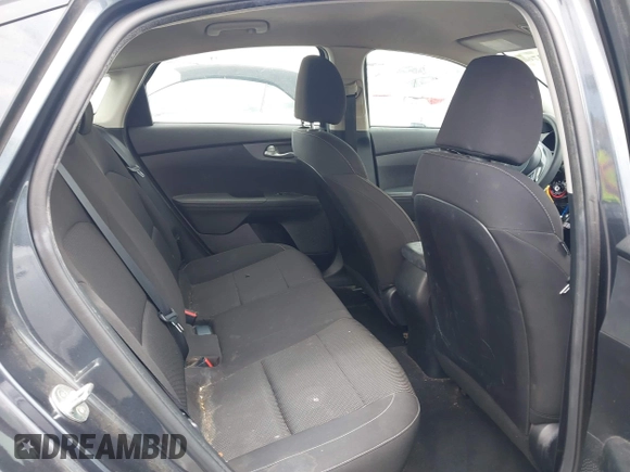 2019 Kia Forte LXS with VIN 3KPF24AD5KE074196, listed as a IAAI auction lot 42137376 with 109,067 mi miles and . Bid and sale history available at DreamBid. Image 8.