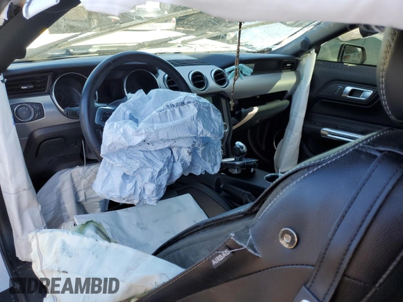 2021 Ford Mustang GT with VIN 1FA6P8CF3M5125111, listed as a Copart auction lot 40455683 with Not Provided miles and . Bid and sale history available at DreamBid. Image 8.