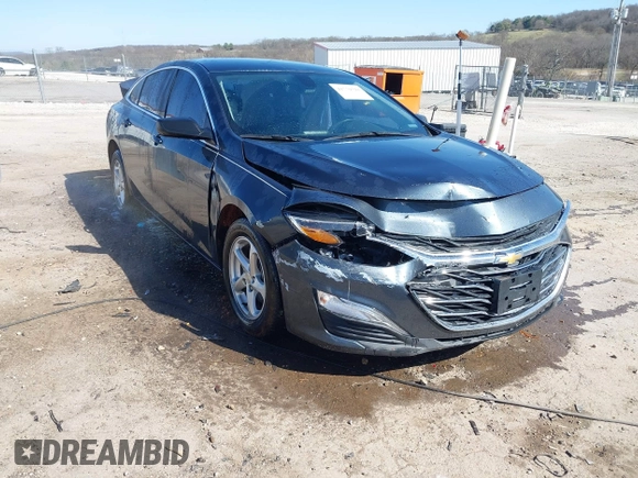 2019 Chevrolet Malibu LS with VIN 1G1ZB5ST1KF142016, listed as a IAAI auction lot 41770598 with 117,175 mi miles and . Bid and sale history available at DreamBid. Image 1.