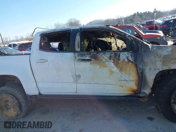 2015 Chevrolet Colorado 4WD Z71 with VIN 1GCGTCE3XF1207119, listed as a IAAI auction lot 41179141 with Not provided miles and . Bid and sale history available at DreamBid. Image 12.