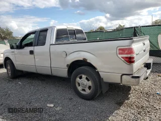 2010 Ford F-150 XL with VIN 1FTEX1C81AFB71833, listed as a Copart auction lot 80022734 with Not provided miles and Salvage title. Bid and sale history available at DreamBid. Image 2.