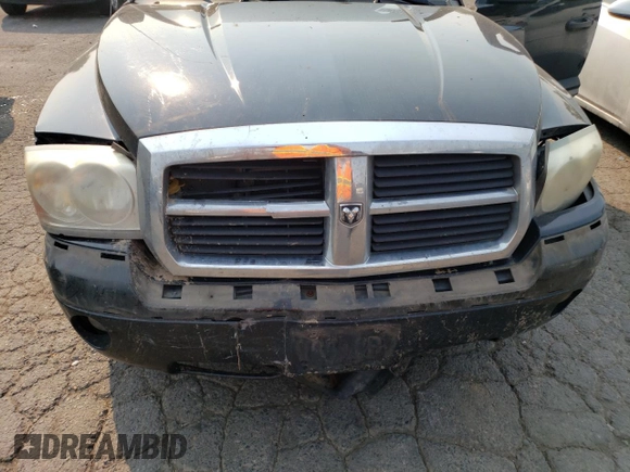 2005 Dodge Dakota Laramie with VIN 1D7HW58N65S161629, listed as a Copart auction lot 66570164 with 205,984 mi miles and Salvage Title. Bid and sale history available at DreamBid. Image 11.
