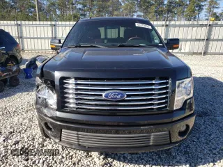 2010 Ford F-150 with VIN 1FTEW1CV6AFA09527, listed as a Copart auction lot 41410035 with 191,889 mi miles and Salvage title. Bid and sale history available at DreamBid. Image 5.