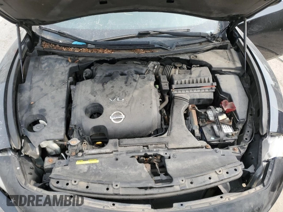 2010 Nissan Maxima SV with VIN 1N4AA5AP3AC818127, listed as a Copart auction lot 58318415 with Not provided miles and Clean title. Bid and sale history available at DreamBid. Image 11.