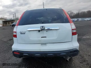 2009 Honda CR-V EX-L with VIN 5J6RE487X9L051738, listed as a Copart auction lot 51049785 with 169,135 mi miles and Salvage Title. Bid and sale history available at carsss.com. Image 6.