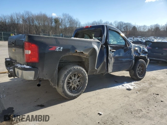 2008 Chevrolet Silverado 1500 Work Truck with VIN 1GCEK14C38Z101292, listed as a Copart auction lot 45727295 with 134,746 mi miles and Salvage Title. Bid and sale history available at carsss.com. Image 3.