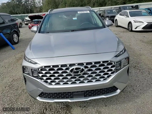 2021 Hyundai Santa Fe Limited with VIN 5NMS44AL5MH334933, listed as a Copart auction lot 44206735 with 34,244 mi miles and Salvage Title. Bid and sale history available at carsss.com. Image 12.