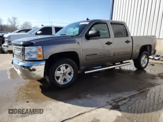 2013 Chevrolet Silverado 1500 LT with VIN 3GCPKSE74DG289251, listed as a Copart auction lot 46149455 with 133,828 mi miles and Salvage Title. Bid and sale history available at carsss.com. Image 1.