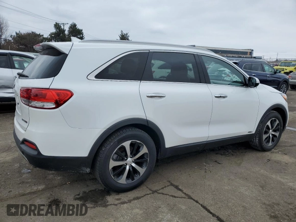 2017 Kia Sorento EX with VIN 5XYPHDA1XHG234979, listed as a Copart auction lot 46355345 with 93,989 mi miles and Clean Title. Bid and sale history available at carsss.com. Image 3.