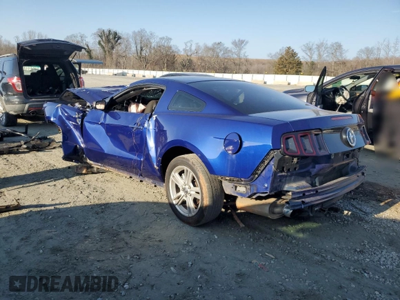 2013 Ford Mustang V6 with VIN 1ZVBP8AM5D5281867, listed as a Copart auction lot 44322545 with 0 mi miles and Salvage Title. Bid and sale history available at carsss.com. Image 2.