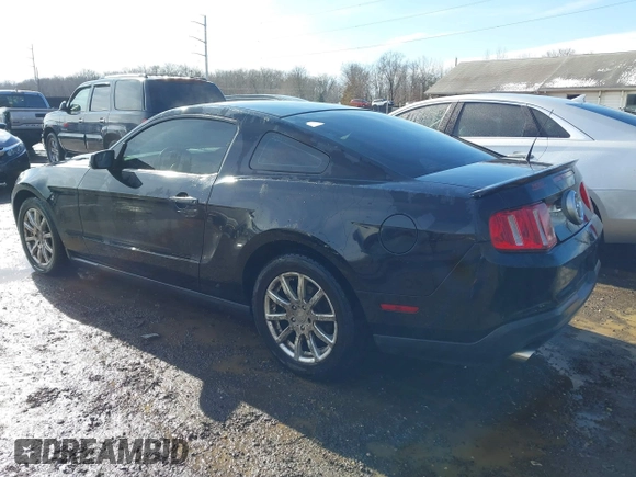 2011 Ford Mustang V6 with VIN 1ZVBP8AM5B5150824, listed as a IAAI auction lot 41539133 with 239,148 mi miles and . Bid and sale history available at carsss.com. Image 3.