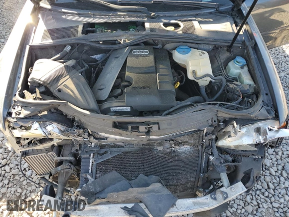 2009 Audi A4 Special Edition with VIN WAUAF48H39K007835, listed as a Copart auction lot 75881444 with Not provided miles and Salvage title. Bid and sale history available at DreamBid. Image 11.