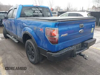 2010 Ford F-150 XL with VIN 1FTEX1EW6AFA32177, listed as a IAAI auction lot 41524783 with 186,145 mi miles. Bid and sale history available at carsss.com. Image 3.