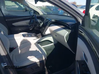 2024 Hyundai Tucson Limited with VIN 5NMJE3DE7RH366483, listed as a IAAI auction lot 41541545 with 4,380 mi miles and . Bid and sale history available at DreamBid. Image 5.