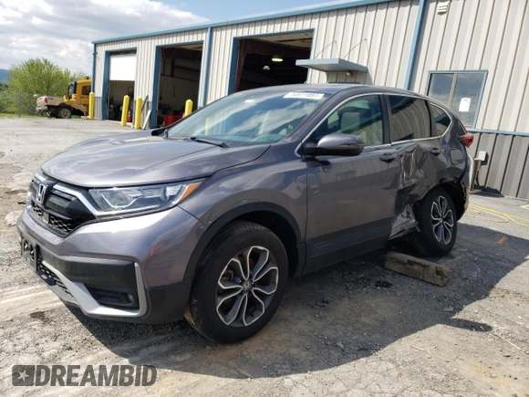 2022 Honda CR-V EX with VIN 7FARW2H50NE021526, listed as a Copart auction lot 50071883 with 19,166 mi miles and . Bid and sale history available at DreamBid. Image 1.