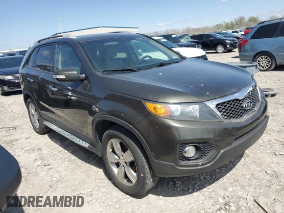 2013 Kia Sorento EX with VIN 5XYKU3A21DG317929, listed as a Copart auction lot 52303015 with Not Provided miles and Clean Title. Bid and sale history available at carsss.com. Image 4.