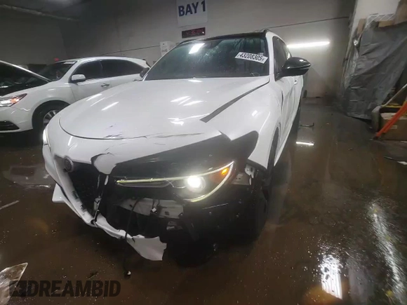 2020 Alfa Romeo Stelvio Ti z VIN ZASPAKBN4L7C74496, wystawiony jako Copart lot #43208305 z przebiegiem 71 269 mil mil oraz Szkoda całkowita • Salvage title. Historia ofert i sprzedaży dostępna na DreamBid. Obrazek 13.