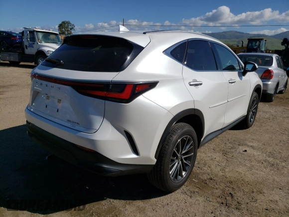 2022 Lexus NX with VIN JTJAKCEZ1N5002192, listed as a Copart auction lot 46571283 with 4,933 mi miles. Bid and sale history available at carsss.com. Image 3.