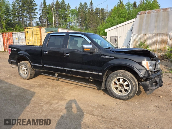 2009 Ford F-150 XL with VIN 1FTPW14V29FB29022, listed as a Copart auction lot 59518745 with 225,701 mi miles and Salvage title. Bid and sale history available at DreamBid. Image 4.