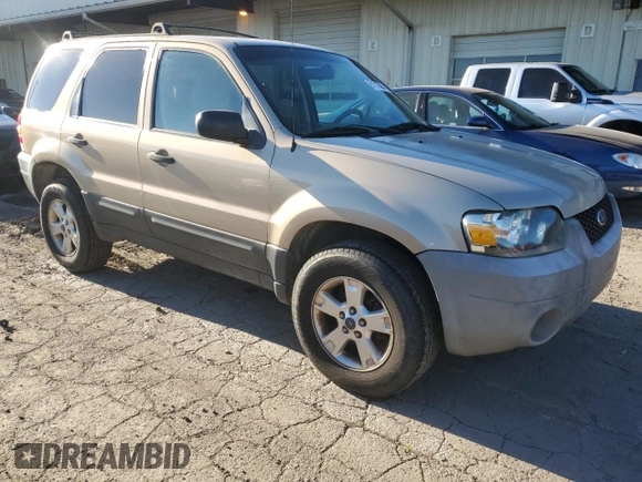 2007 Ford Escape XLT with VIN 1FMYU03Z77KB17649, listed as a Copart auction lot 81213684 with 113,011 mi miles and Salvage Title. Bid and sale history available at carsss.com. Image 4.