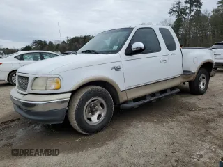 1999 Ford F-150 with VIN 1FTRX07W6XKA93036, listed as a Copart auction lot 46498755 with 354,328 mi miles and Salvage title. Bid and sale history available at DreamBid. Image 1.