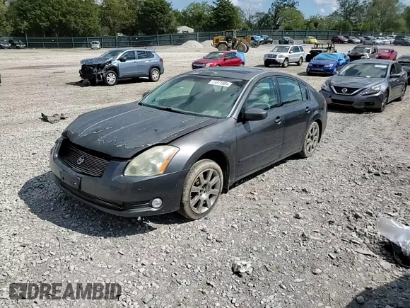 2006 Nissan Maxima 3.5 SE with VIN 1N4BA41EX6C842106, listed as a Copart auction lot 73371904 with 176,934 mi miles and Salvage Title. Bid and sale history available at carsss.com. Image 10.